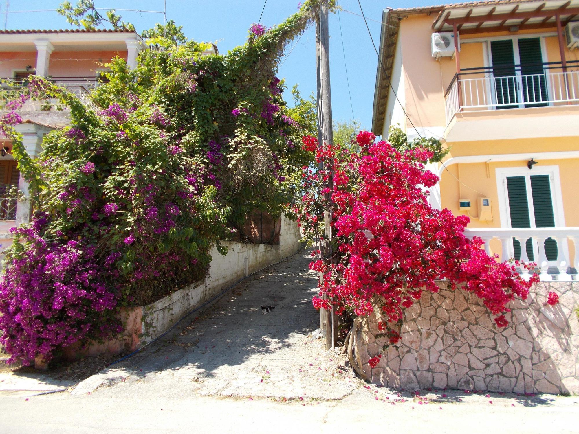 Kavos Panorama Complex 아파트 호텔 외부 사진